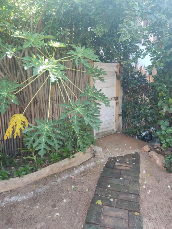 Casa Tonantzin Ξενοδοχείο Zipolite Εξωτερικό φωτογραφία